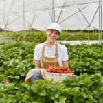 Climate challenges and resilient strategies for agriculture